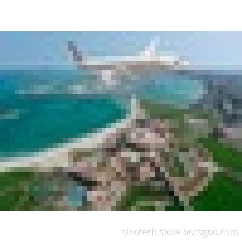 International shipping company to Dubai